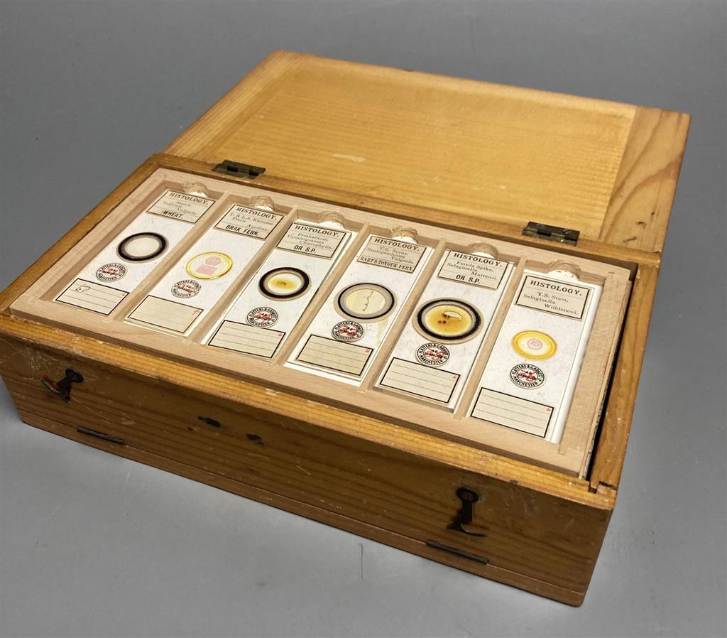 A collection of 48 histology slides contained in a fitted lightwood case,